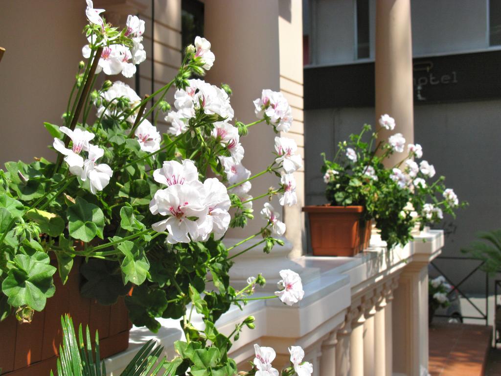 Hotel Villa Luigia Rimini Luaran gambar